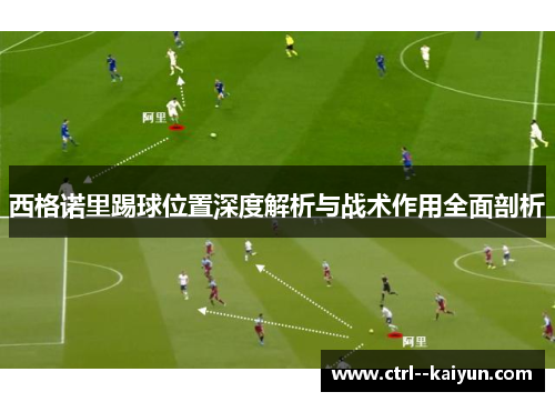 西格诺里踢球位置深度解析与战术作用全面剖析