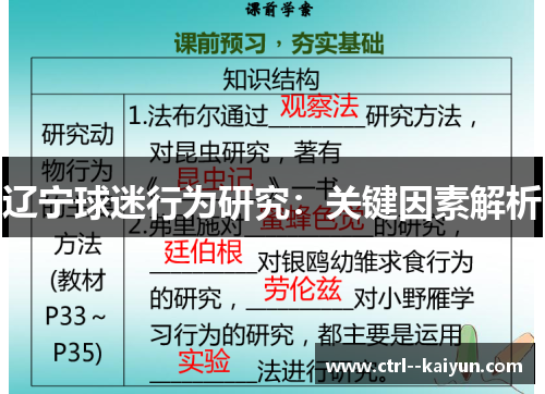 辽宁球迷行为研究：关键因素解析